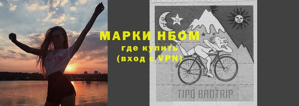 дурь Алексин