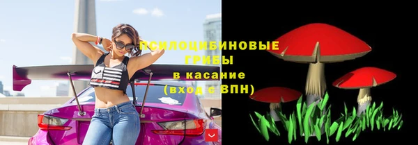 дурь Алексин
