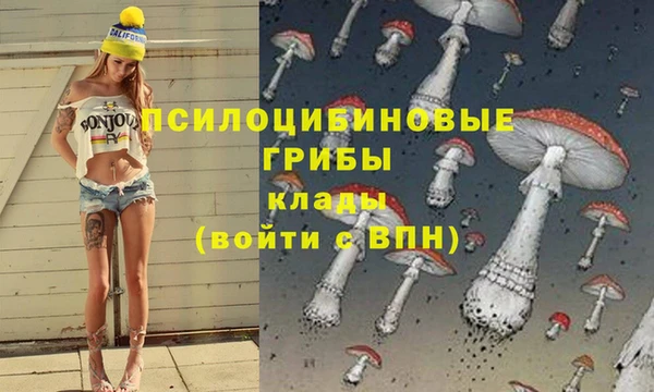 героин Алзамай