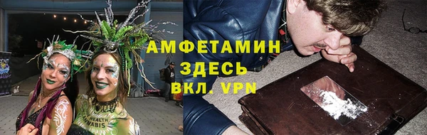 дурь Алексин